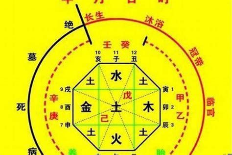 喜用神查询|生辰八字算命、五行喜用神查询（免费测算）